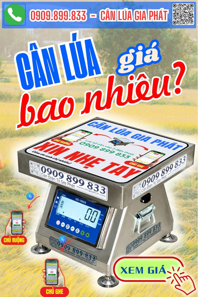 Giá cân điện tử cân lúa 100kg 200kg 300kg DS-166SS số đen nền trắng
