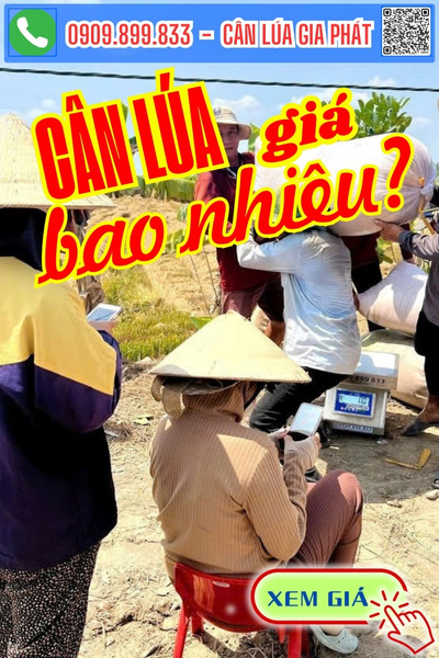Giá cân điện tử cân lúa 100kg 200kg 300kg bao nhiêu tiền