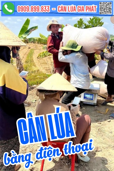 Cân lúa bằng điện thoại - Cân Lúa Gia Phát