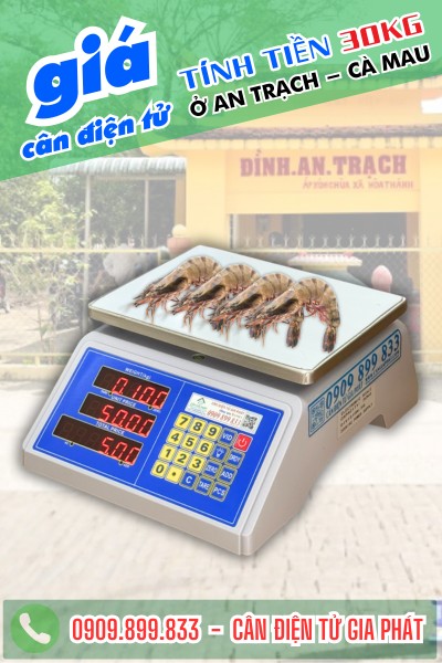 Cân điện tử ở An Trạch Cà Mau - cân điện tử tính tiền chống nước