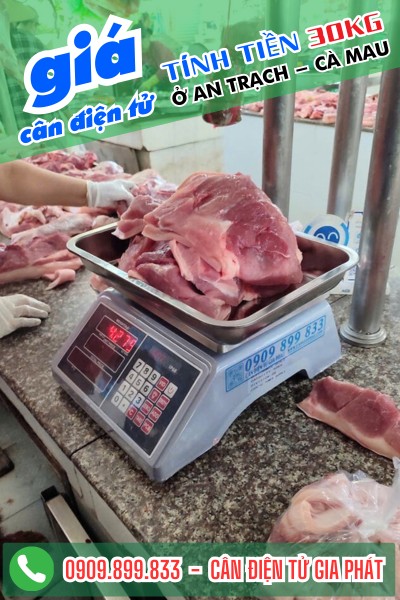 Cân điện tử ở An Trạch Cà Mai - cân điện tử tính tiền chống nước bán hải sản