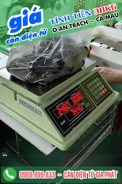 Mua cân điện tử ở An Trạch Cà Mau - Cân điện tử Gia Phát