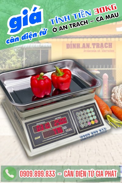 Sửa cân điện tử ở An Trạch Cà Mau