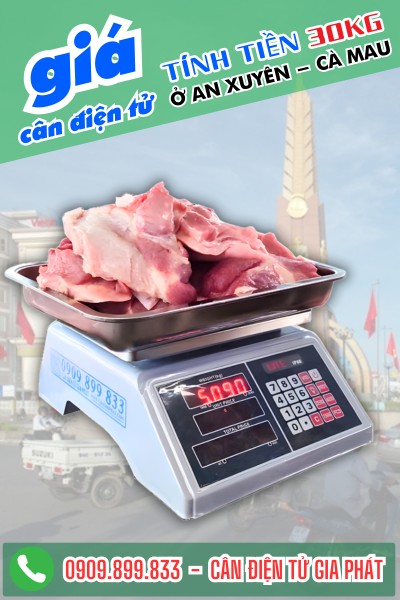 Cân điện tử tính tiền 30kg bán thịt ở An Xuyên Cà Mau