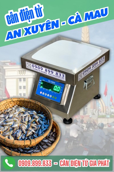 Cân điện tử An Xuyên Cà Mau cân chống nước IP68