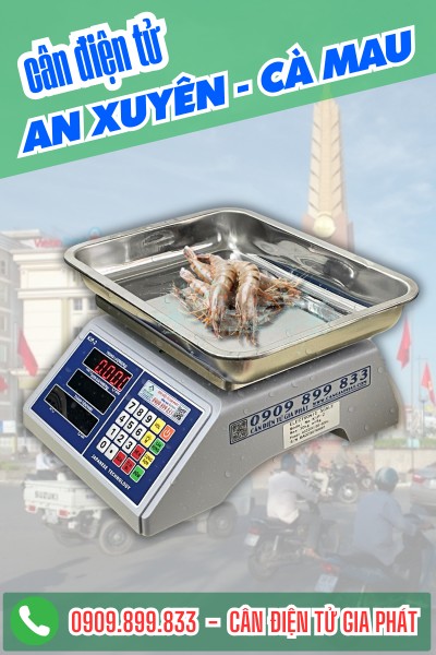 Cân điện tử An Xuyên Cà Mau cân 30kg 60kg 150kg cân hải sản
