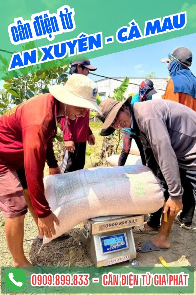 Cân điện tử ở An Xuyên Cà Mau cân lúa 100kg 200kg 300kg
