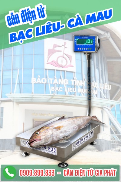 Địa chỉ mua cân điện tử ở Phường Bạc Liêu - Cà Mau