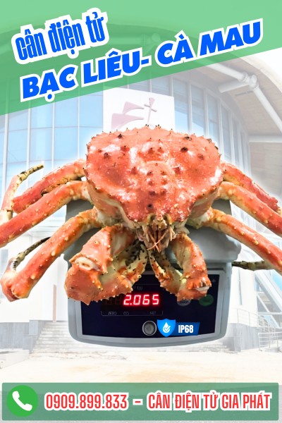Cân điện tử ở Bạc Liêu - Cà Mau - Cân điện tử Gia Phát