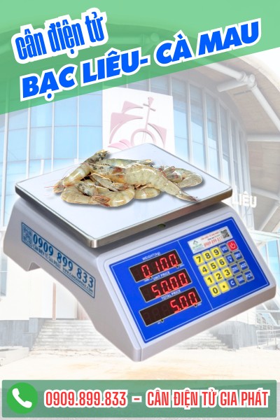 Cân điện tử Bạc Liêu Cà Mau - Cân Điện Tử Gia Phát