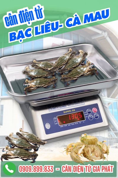 Cân điện tử Bạc Liêu Cà Mau - Cân Điện Tử Gia Phát