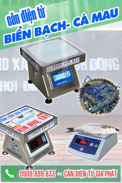 Top 3 dòng cân điện tử giao nhiều nhất ở Biển Bạch Cà Mau