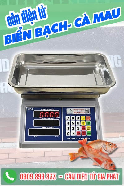 Cân điện tử tính tiền 30kg ở Biển Bạch Cà Mau