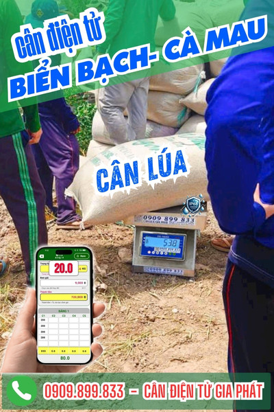 Cân điện tử ở Biển Bạch Cà Mau cân lúa 100kg 200kg 300kg