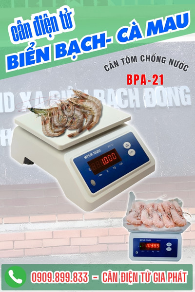 Cân điện tử ở Biển Bạch Cà Mau cân tôm 30kg chống nước