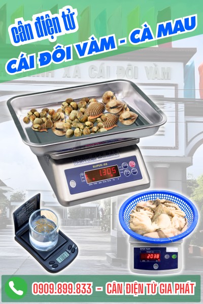Cân điện tử ở Cái Đôi Vàm Cà Mau - Cân Gia Phát