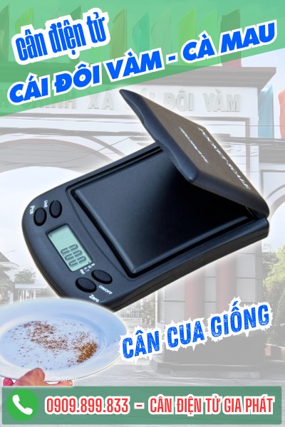 Cân điện tử ở Cái Đôi Vàm Cà Mau - Cân Gia Phát