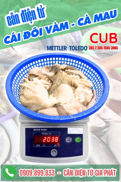 Cân điện tử ở Cái Đôi Vàm Cà Mau - Cân Gia Phát