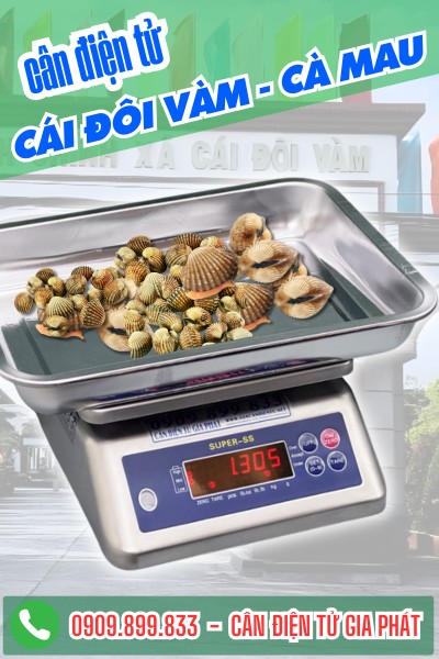 Cân điện tử ở Cái Đôi Vàm Cà Mau - Cân Gia Phát