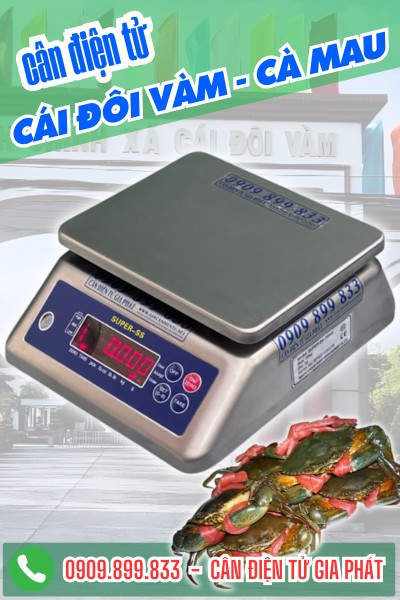 Cân điện tử ở Cái Đôi Vàm Cà Mau - Cân Gia Phát