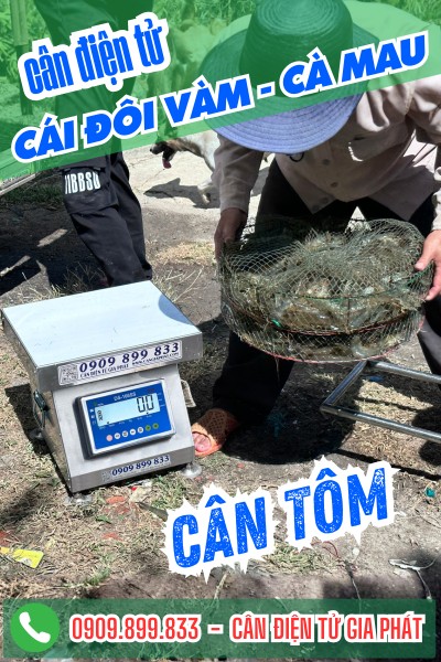 Cân điện tử ở Cái Đôi Vàm Cà Mau - Cân Gia Phát
