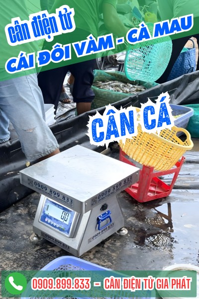 Cân điện tử ở Cái Đôi Vàm Cà Mau - Cân Điện Tử Gia Phát