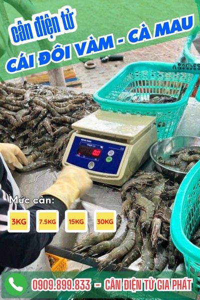 Cân điện tử chuyên cân tôm cua và sò huyết ở Cái Đôi Vàm Cà Mau
