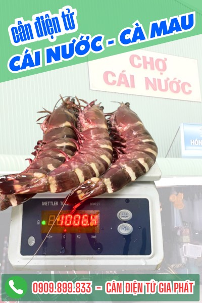 Cân điện tử Cái Nước Cà Mau - Cân Điện Tử Gia Phát