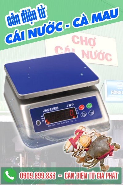 Cân điện tử ở Cái Nước Cà Mau - Cân Điện Tử Gia Phát