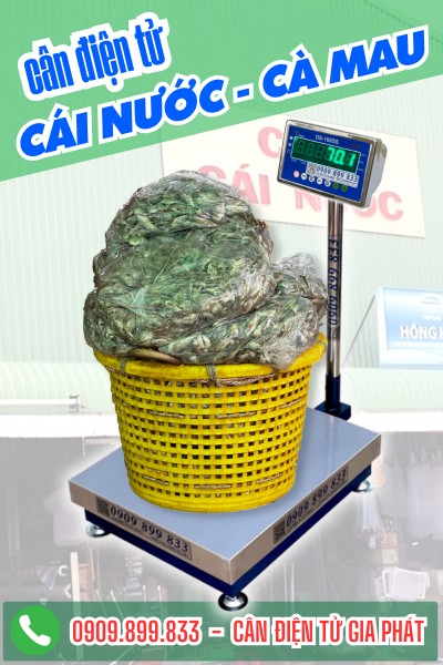 Cân điện tử tại Cái Nước Cà Mau - Cân Điện Tử Gia Phát