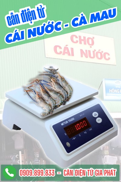 Cân điện tử ở Cái Nước Cà Mau - cân chống nước BPA-121
