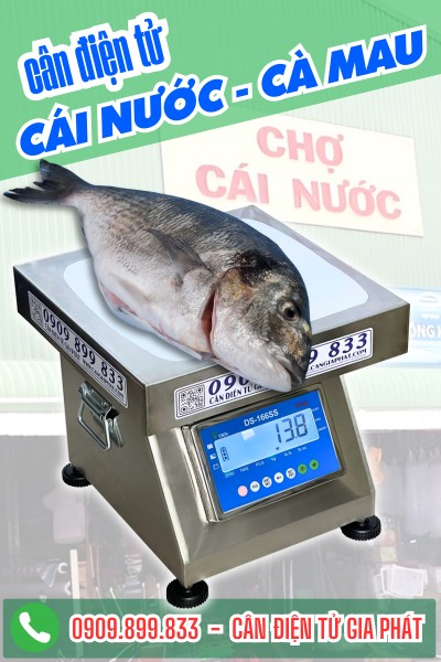 Cân điện tử ở Cái Nước Cà Mau - đầy đủ cân cho ngành thủy sản