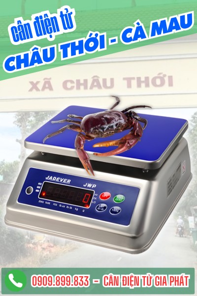 Cân điện tử ở Châu Thới Cà Mau - cân của biển 30kg 150kg 300kg