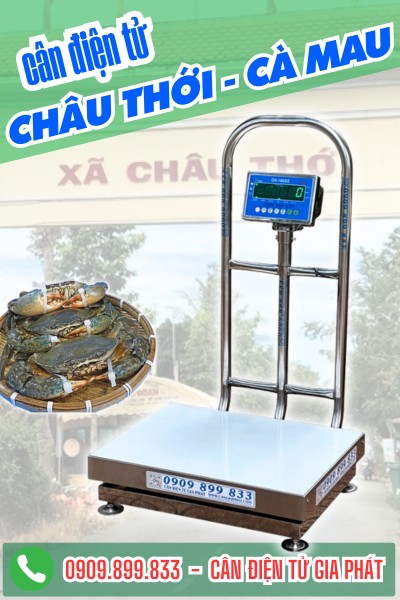 Cân điện tử Châu Thới Cà Mau - cân thùng cua biển 150kg 300kg
