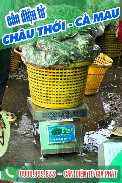 Cân điện tử ở Châu Thới Cà Mau - cân điện tử DS-166SS inox chống nước