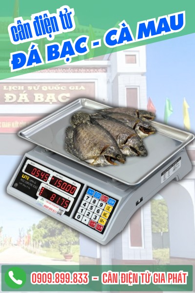 Cân điện tử cân khô cá bổi ở Đá Bạc Cà Mau