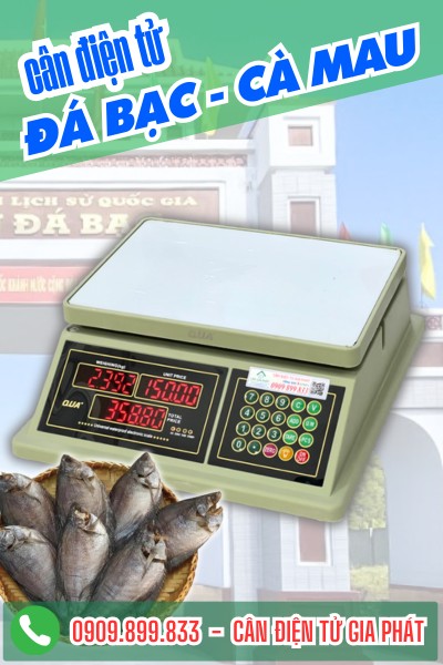 Cân điện tử ở Đá Bạc Cà Mau - cân điện tử QUA 832 30kg