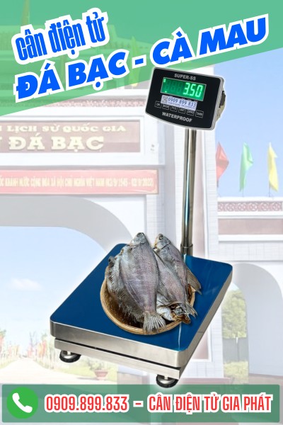 Cân điện tử cân khô cá bổi ở Đá Bạc Cà Mau