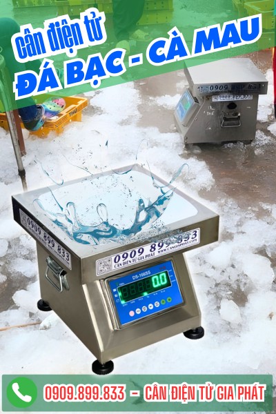 Cân điện tử Đá Bạc Cà Mau - CÂN ĐIỆN TỬ GIA PHÁT