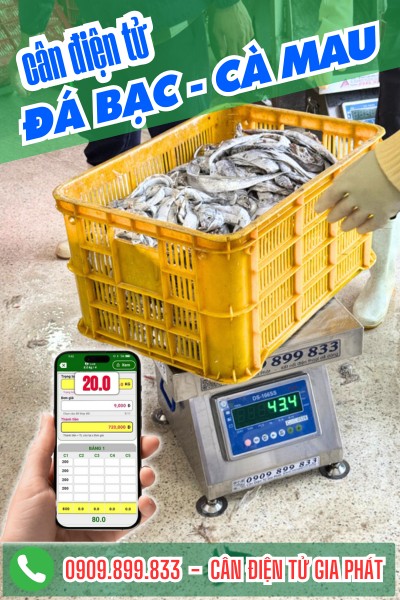 Cân điện tử ở Đá Bạc Cà Mau - cân điện tử inox chống nước DS-166SS