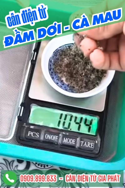 Cân điện tử ở Đầm Dơi Cà Mau - Cân Gia Phát