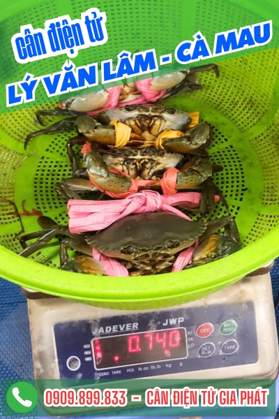 Cân điện tử ở Lý Văn Lâm Cà Mau - Cân Gia Phát