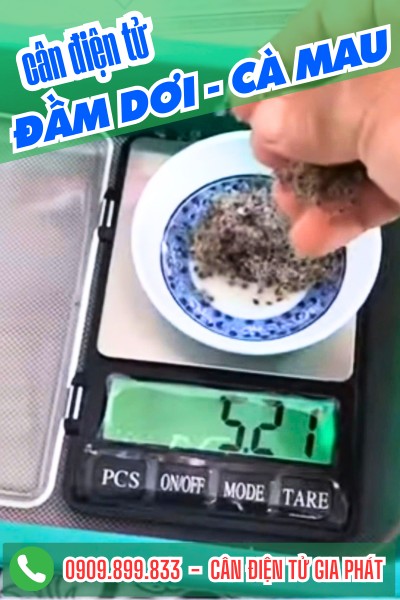 Cân điện tử Đầm Dơi Cà Mau - Cân Gia Phát
