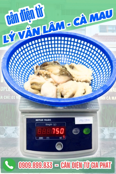 Cân điện tử ở Lý Văn Lâm Cà Mau - Cân Gia Phát