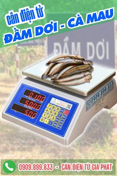 Cân điện tử KIP2 30kg tính tiền chống nước ở Đầm Dơi Cà Mau