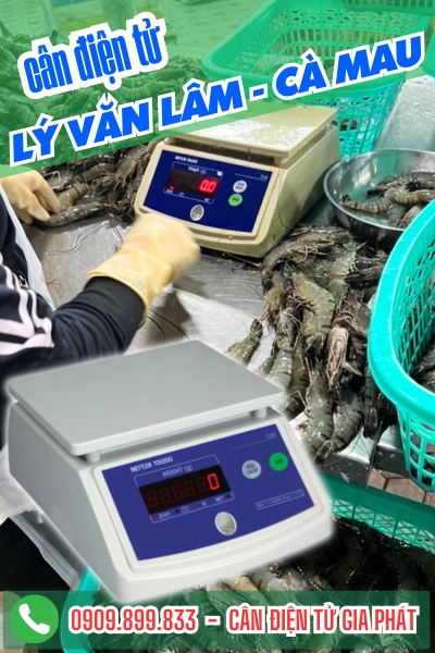Cân điện tử ở Lý Văn Lâm Cà Mau - Cân Gia Phát