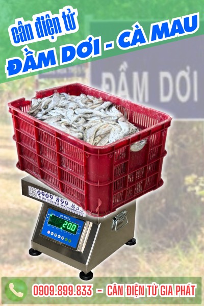 Cân điện tử DS-166SS inox 304 200kg 300kg ở Đầm Dơi Cà Mau