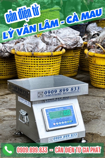 Cân điện tử ở Lý Văn Lâm Cà Mau - Cân Gia Phát