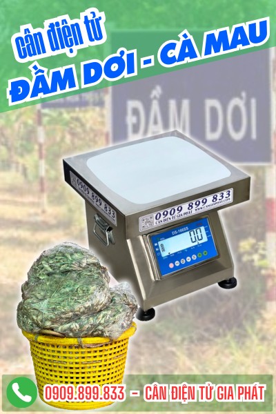 Cân điện tử Đầm Dơi Cà Mau - Cân Gia Phát