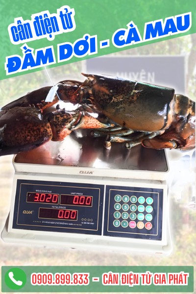 Cân điện tử ở Đầm Dơi Cà Mau - Cân điện tử Gia Phát